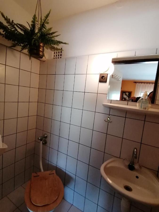 Ildiko Vendeghaz Heviz Apartment Exterior foto