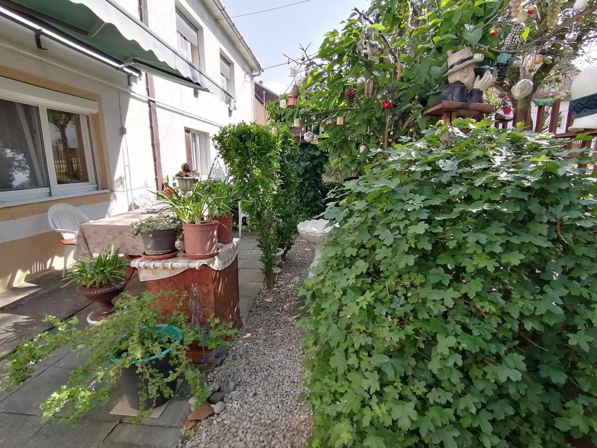 Ildiko Vendeghaz Heviz Apartment Exterior foto