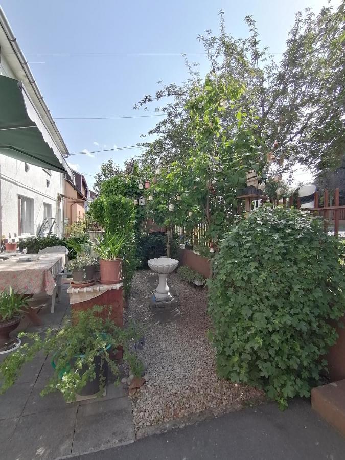 Ildiko Vendeghaz Heviz Apartment Exterior foto