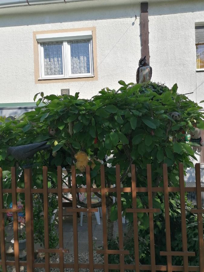 Ildiko Vendeghaz Heviz Apartment Exterior foto